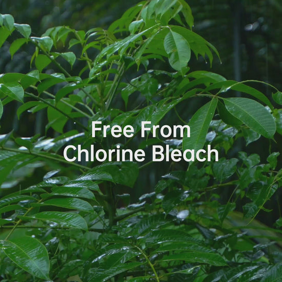 koyo living brighter bubble cleanser Free From Chlorine Bleach. stain remover Malaysia, baby safe stain remover Malaysia, gentle stain remover MY. eco stain remover Singapore, natural stain remover Singapore